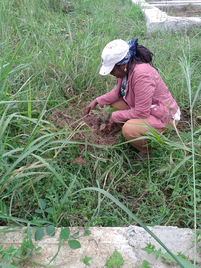 Image d'agriculture