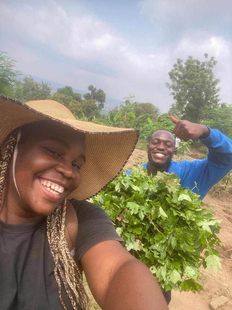 Image d'agriculture